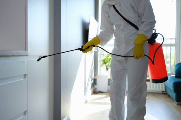 Biohazard Mold Removal in Oregon, IL