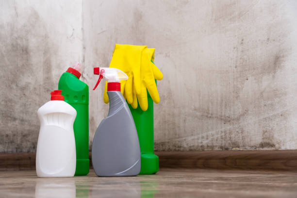 Professional Mold Prevention & Removal  in Oregon, IL